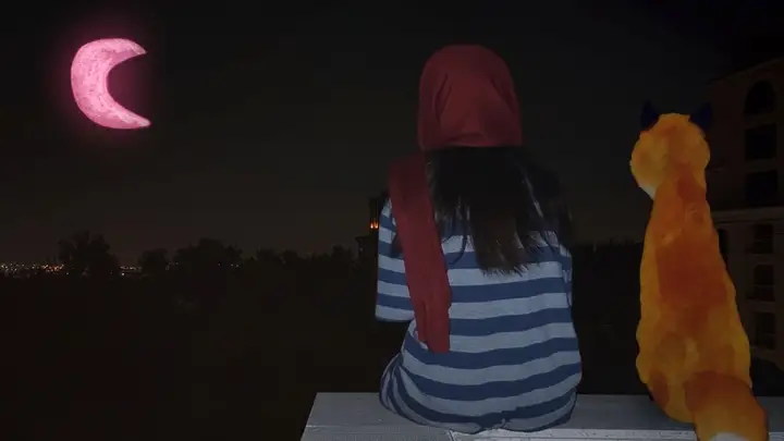 Still from A Fox Under A Pink Moon