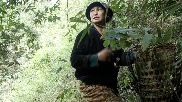 Still from Adi Nyemeh – Daughters of the Forest