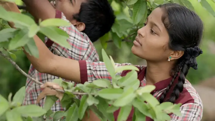 Still from Programme 6: Journeys of Discovery