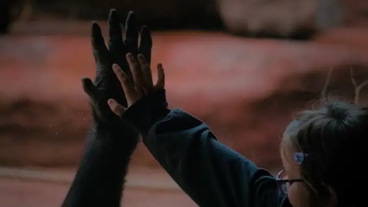 Still from Programme 7: Still Human