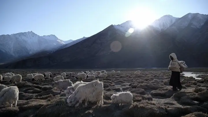 Still from Royal Enfield Himalayan Shorts Programme