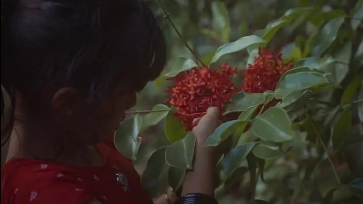 Still from Burning Roots, Blooming Fire