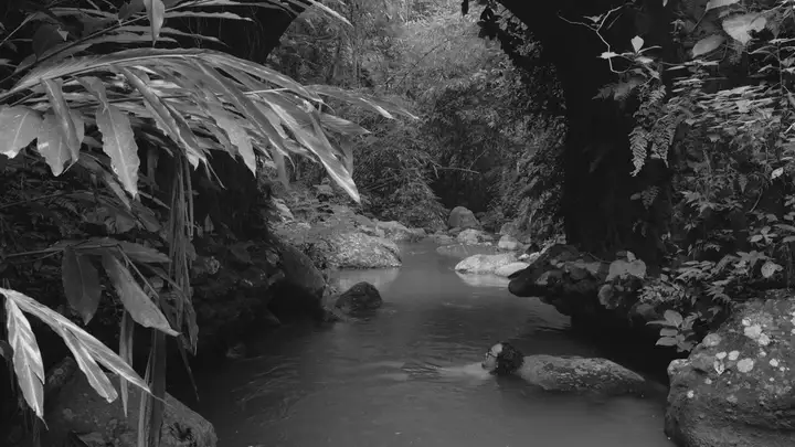 Still from Golden Island