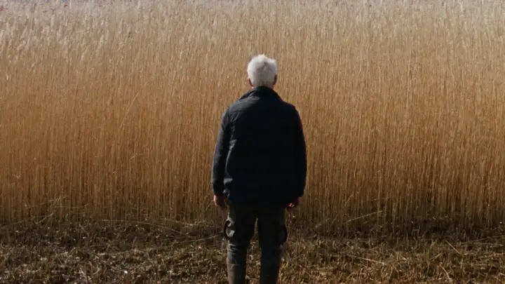 Still from Reedland