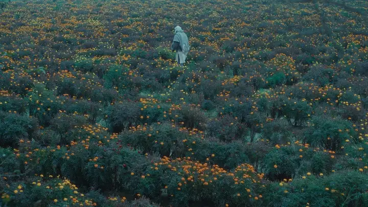 Still from The Calf Doll