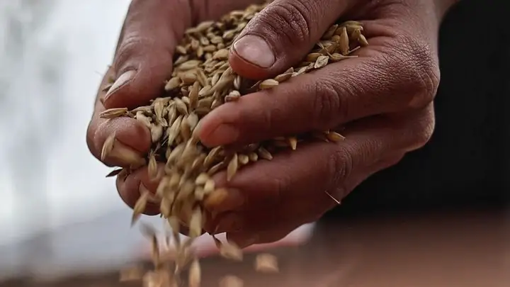 Still from Udgam: The Origin of Life
